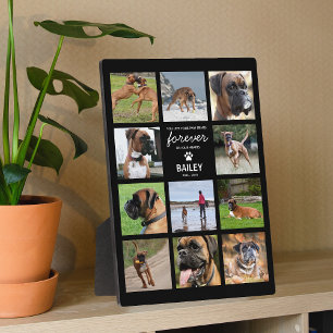 Pet Memorial Gift   In Loving Memory Photo Plaque
