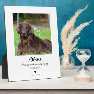 Pet Memorial Gift   In Loving Memory Plaque