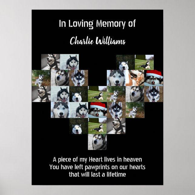 Pet Memorial Gift Pet loss Custom Photo collage  Poster (Front)