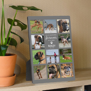 Pet Memorial Gift Tribute Photo Collage Plaque