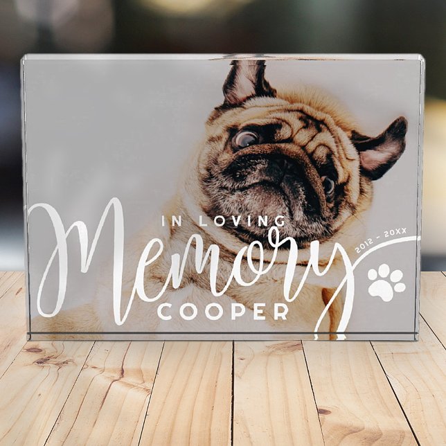 Pet Memorial In Loving Memory Paw Simple Modern Photo Block (Creator Uploaded)