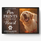 Pet Memorial Keepsake Photo Frame