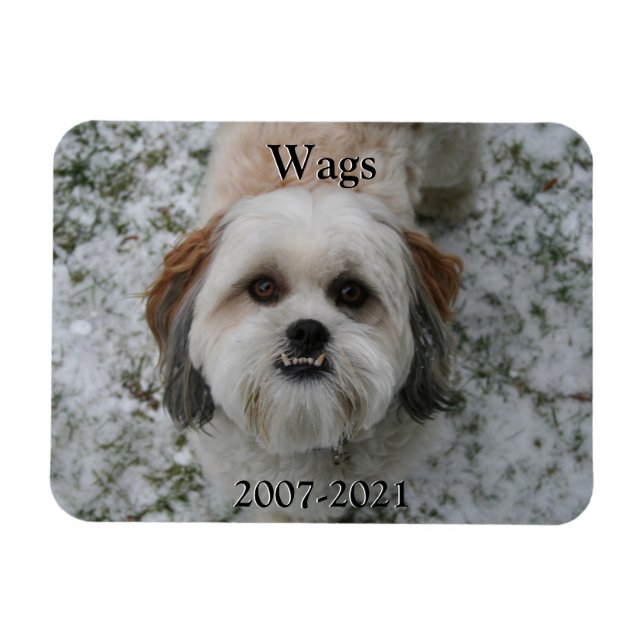 Pet Memorial Magnet (Horizontal)