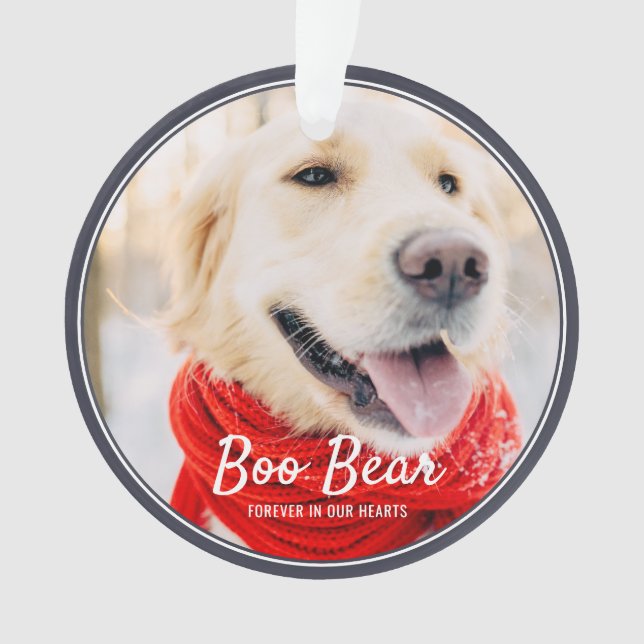 Pet Memorial Modern Frames Simple Photo Ornament (Front)
