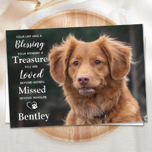 Pet Memorial Modern Personalise Dog Photo Sympathy Thank You Card