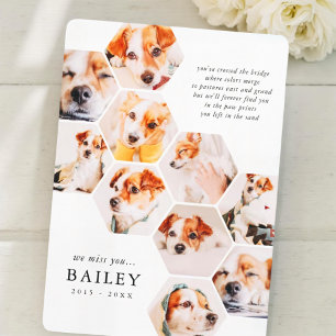 Pet Memorial Modern Simple 10 Photo Collage Card