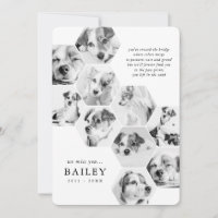 Pet Memorial Modern Simple 10 Photo Collage Card