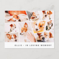 Pet Memorial Modern Simple Chic 9 Photos Collage