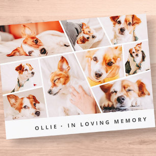 Pet Memorial Modern Simple Chic 9 Photos Collage Postcard