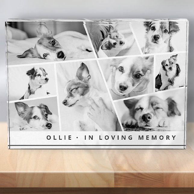 Pet Memorial Modern Simple Chic Collage Photo Block (Creator Uploaded)