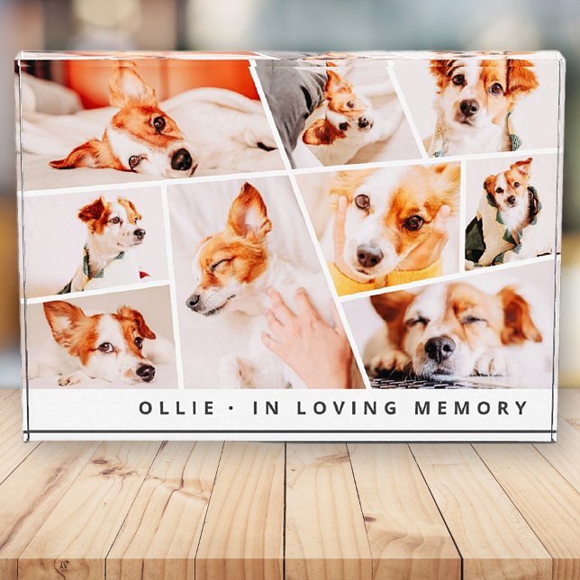 Pet Memorial Modern Simple Chic Collage Photo Block (Creator Uploaded)