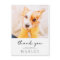 Pet Memorial Modern Simple Minimalist Chic Photo
