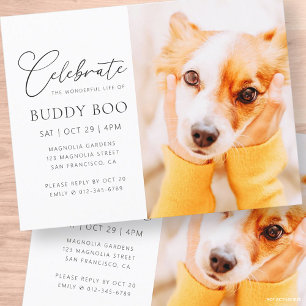 Pet Memorial Modern Simple Minimalist Chic Photo Postcard