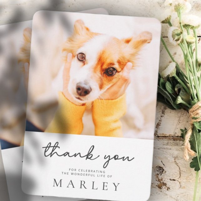 Pet Memorial Modern Simple Minimalist Chic Photo Thank You Card (Creator Uploaded)