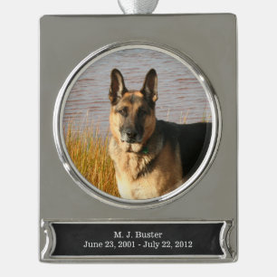 Pet Memorial Ornament   Silver, FAUX Chalkboard