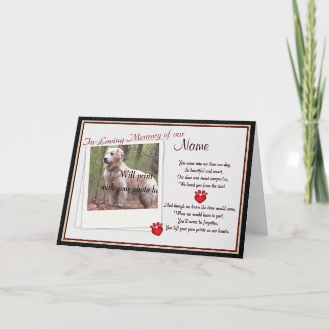 Pet Memorial Paw Prints  Announcement - Dog Cat (Front)