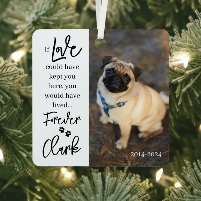 Pet Memorial - Personalised Pet Loss Photo Met Metal Tree Decoration (Insitu)
