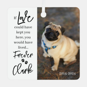 Pet Memorial - Personalised Pet Loss Photo Met Metal Tree Decoration