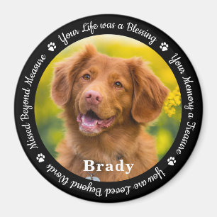 Pet Memorial Pet Loss Gift Remembrance Dog Photo  Magnet