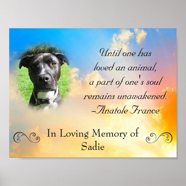 Pet Memorial - Pet Loss Quote Poster (Front)
