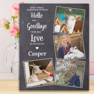 Pet Memorial Pet Loss Sympathy Keepsake 4 Photo  Plaque