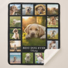 Pet Memorial Photo Collage