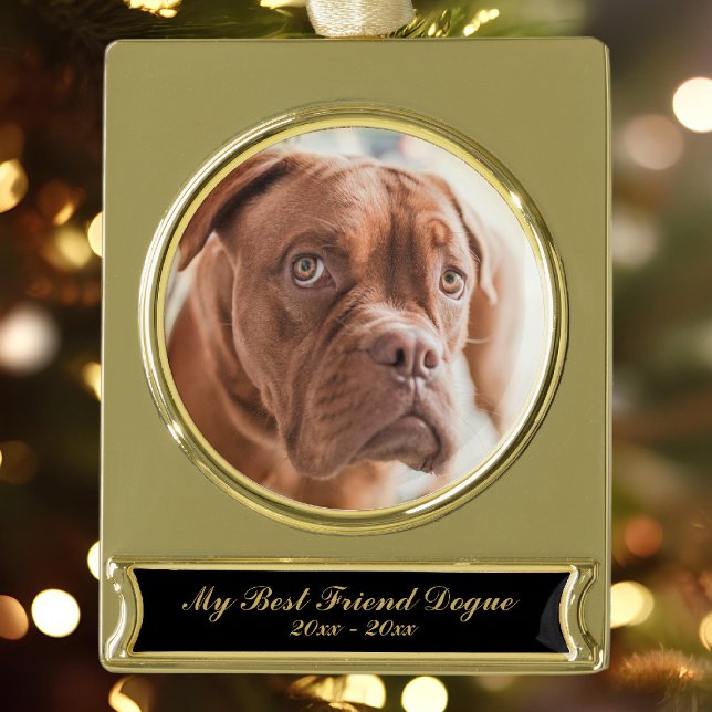 Pet Memorial Photo Gold Plated Banner Ornament (We miss out pets when they're gone and this makes a lovely memory keepsake. Just add a photo)