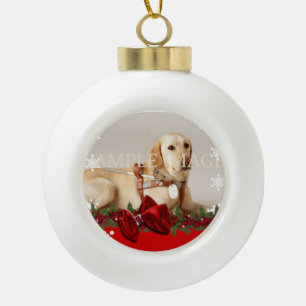 Pet memorial photo PERSONALIZE Ceramic Ball Christmas Ornament