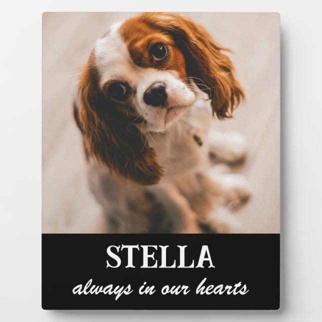 Pet Memorial Picture Plaque (Front)