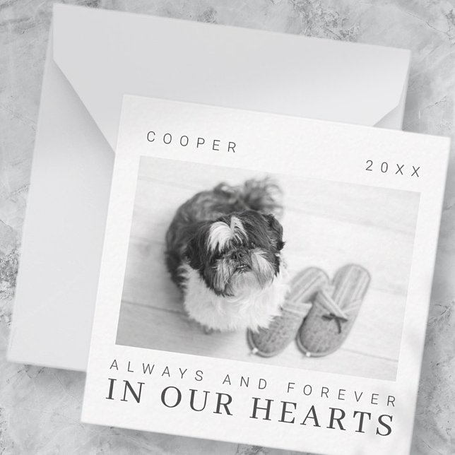 Pet Memorial Quote Simple Modern Chic Photo Card (Creator Uploaded)