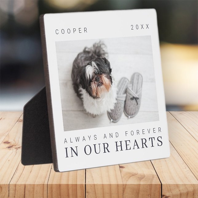 Pet Memorial Quote Simple Modern Chic Photo Plaque (Creator Uploaded)