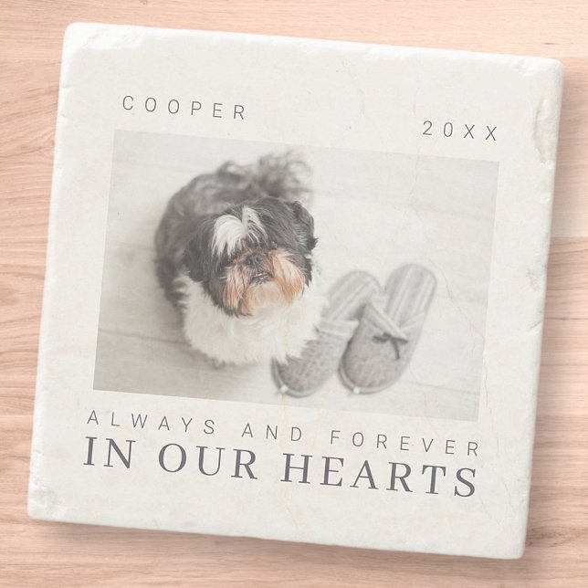 Pet Memorial Quote Simple Modern Chic Photo Stone Coaster (Creator Uploaded)