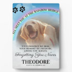 Pet Memorial Rainbow Bridge Photo