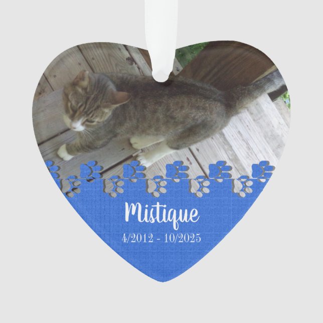 Pet Memorial Remembrance Beloved Keepsake Ornament (Front)