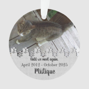 Pet Memorial Remembrance Beloved Keepsake Ornament