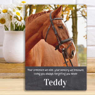 Pet Memorial Remembrance Custom Pet Horse Photo Plaque