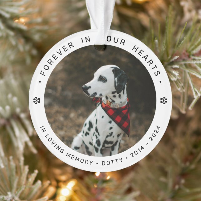 Pet Memorial Remembrance Tribute Dog/Cat Photo Ornament (Tree)
