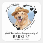 Pet Memorial Seed Packet Heart Custom Dog Photo  Square Sticker (Front)