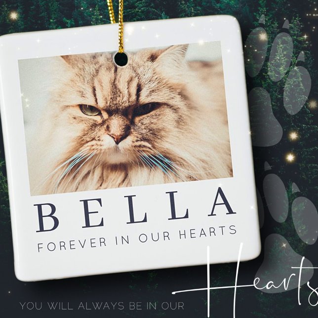 Pet Memorial Simple Modern Chic Family Photo Ceramic Ornament (Creator Uploaded)