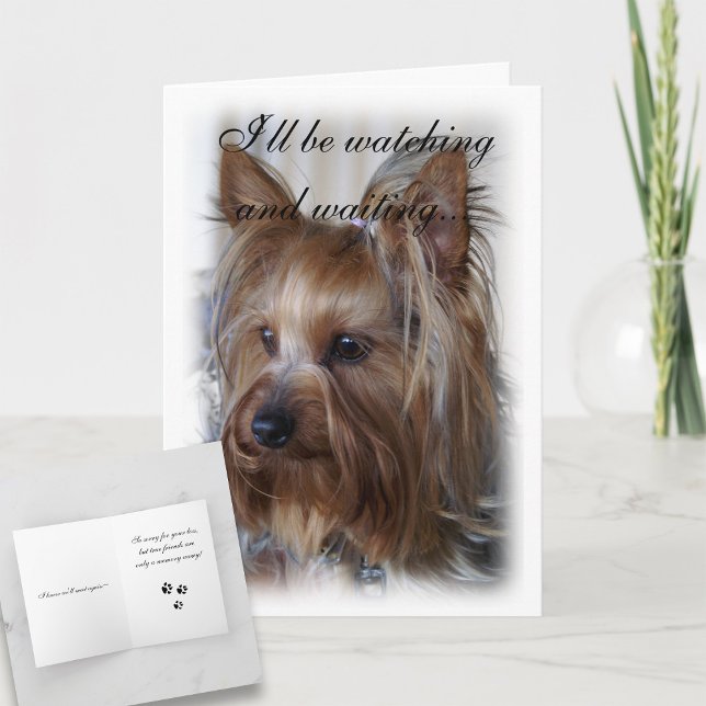 Pet Memorial Sympathy Card (Creator Uploaded)