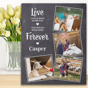 Pet Memorial Sympathy Keepsake Pet Loss 4 Photo Plaque