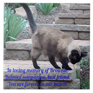 Pet Memorial Tile, Seal Point Cat Tile