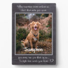 Pet Memorial-When tomorrow starts without me Quote