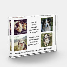 Pet Memorial with Four Photos, Name and Dates.  Ph