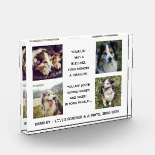 Pet Memorial with Four Photos, Name and Dates. Ph Photo Block