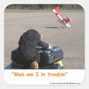 Pet Monkey Crashing Dads RC Plane Square Sticker