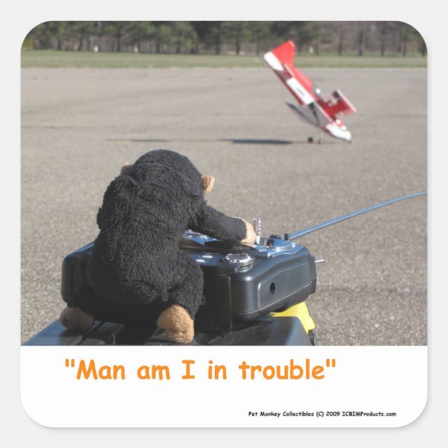 Pet Monkey Crashing Dads RC Plane Square Sticker (Front)