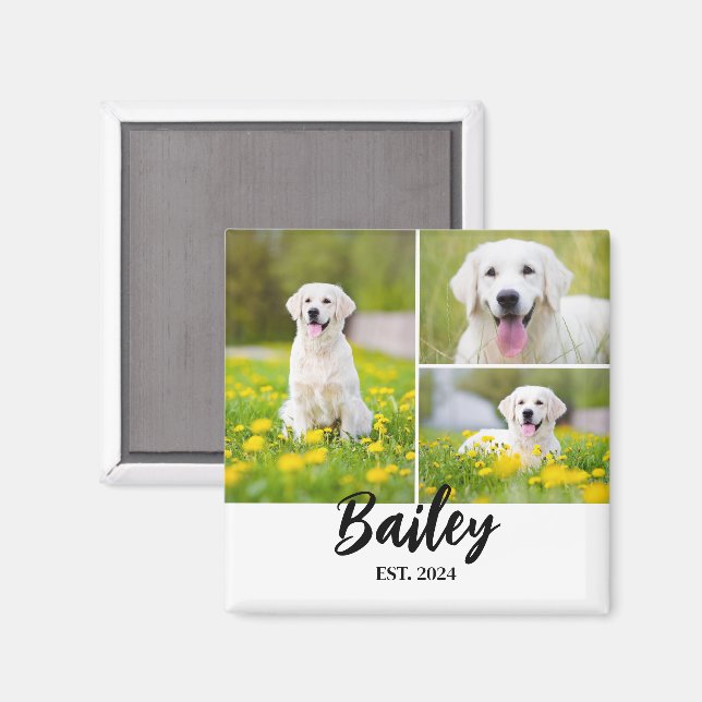 Pet Name Established 3 Photo  Magnet (Front/Back)