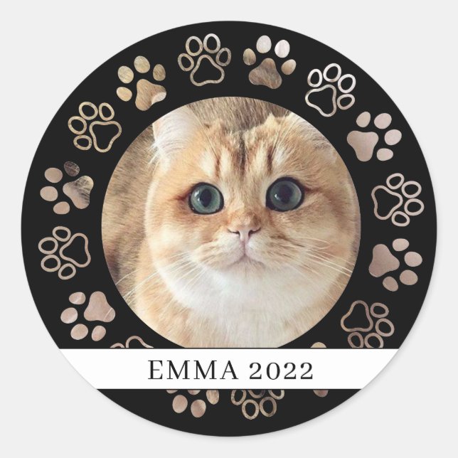 Pet Paw Custom Cat Photo Ceramic Ornament Classic Round Sticker (Front)