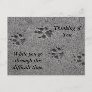 Pet Paws in Cement – Always There Postcard